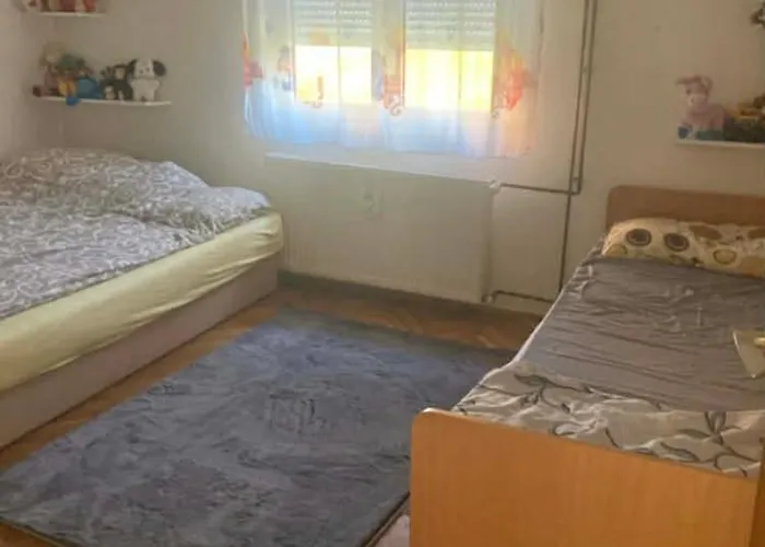 Nevade 上米拉诺瓦茨